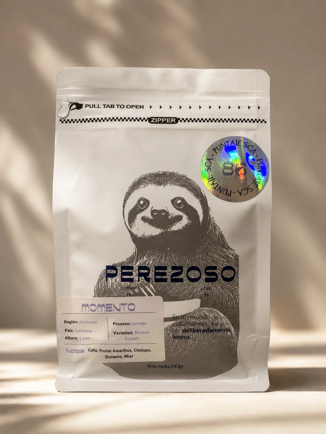 Perezoso Momento